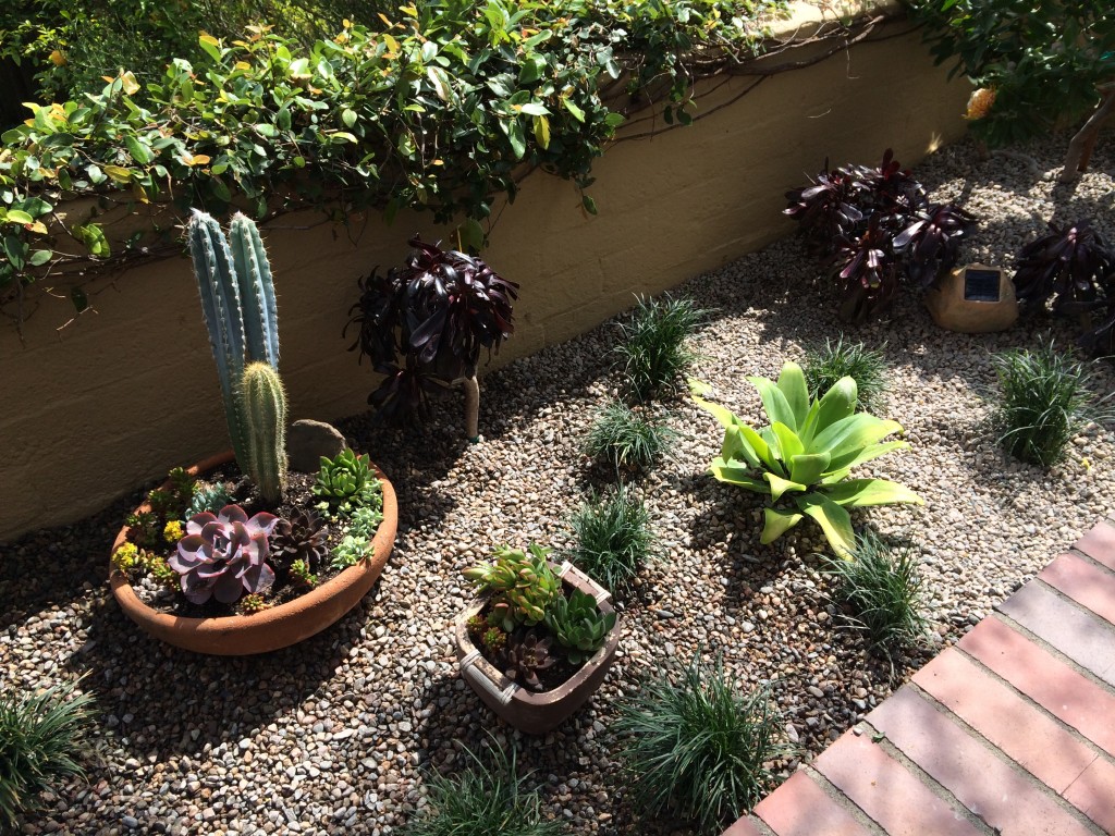 Gravel keeps the weeds out and adds interest.