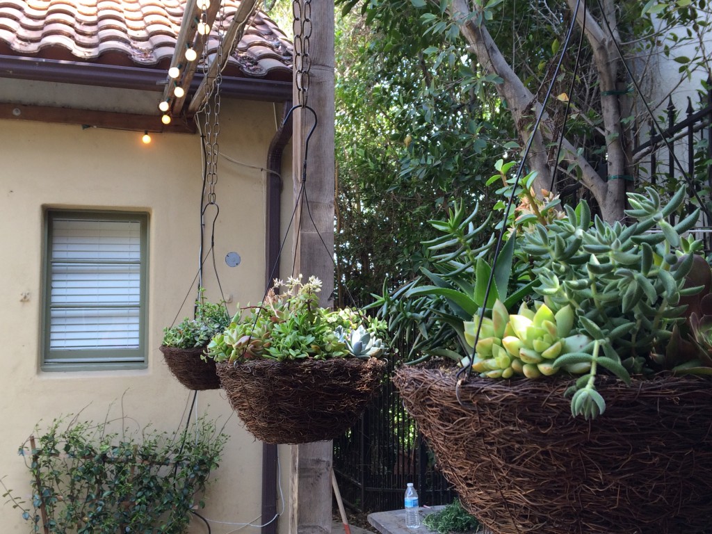 Hanging baskets with more succulents to tie the areas together.