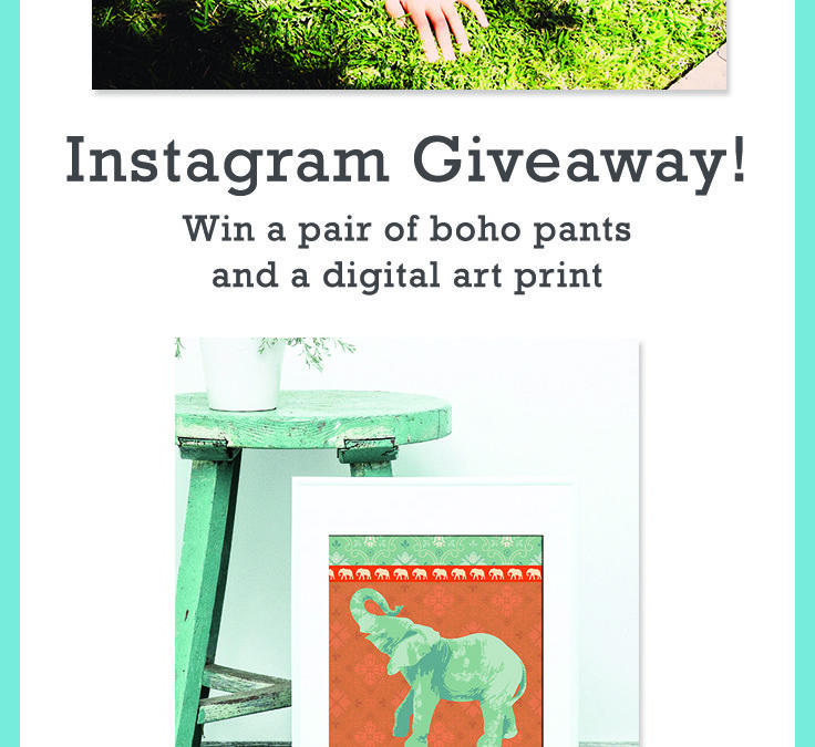 Check out our Instagram Giveaway!